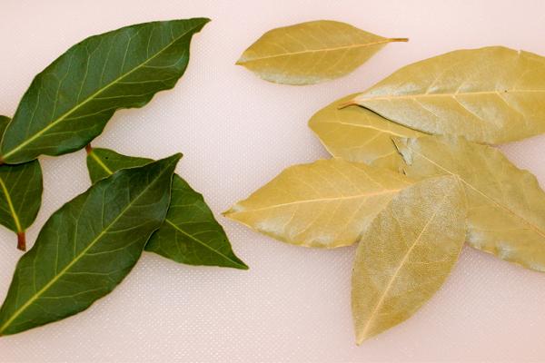 Lá bay leaves tươi và khô